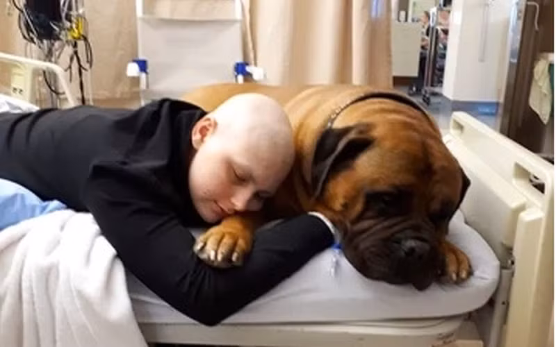 Những hình ảnh xúc động của bệnh nhân ung thư bên chú chó cưng của mình.
