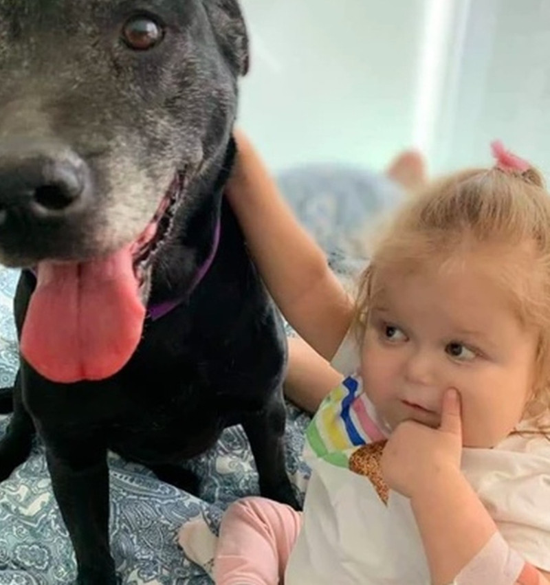 Bà Donna khẳng định, việc gặp lại thú cưng đã giúp người bệnh quên tình trạng sức khỏe của mình và tinh thần tràn ngập hy vọng.