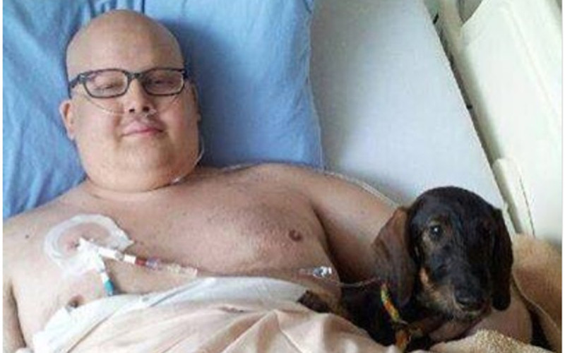 Tinh thần của Zachary đã tốt lên rất nhiều khi được gặp hai chú chó cưng của mình. Trước khi qua đời, Zachary đã thành lập nhóm hỗ trợ để những bệnh nhân như anh có thể đồng hành với thú cưng trong quá trình điều trị. Người dì của Zachary, bà Donna đã hứa thực hiện ước nguyện này của anh. Và nhóm “Liệu pháp thú cưng” ra đời.