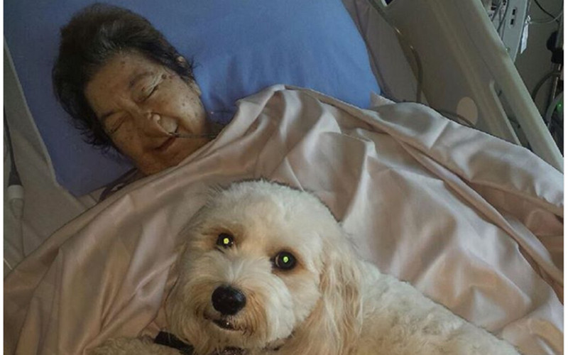 Các bác sĩ muốn chắc chắn rằng, tất cả người bệnh phải được bảo vệ khỏi nguy cơ nhiễm trùng.