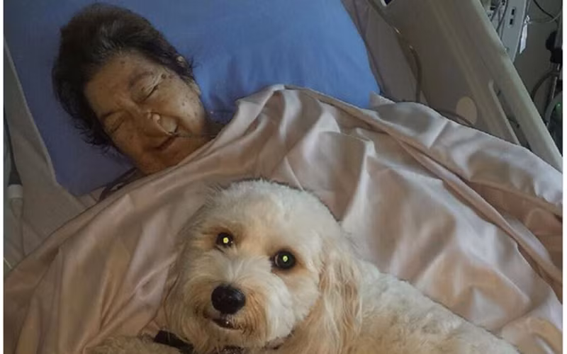 Các bác sĩ muốn chắc chắn rằng, tất cả người bệnh phải được bảo vệ khỏi nguy cơ nhiễm trùng.