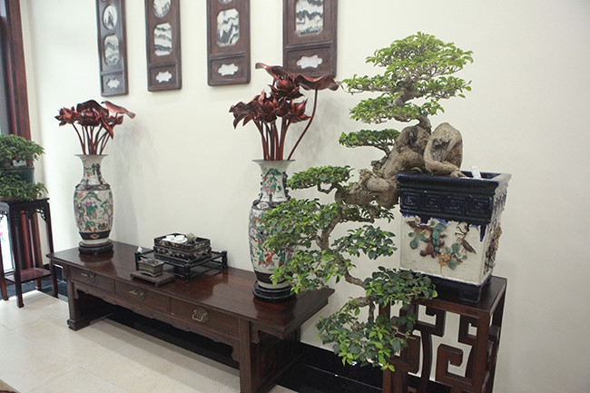 Cây bonsai dáng “thác đổ” rất đẹp.