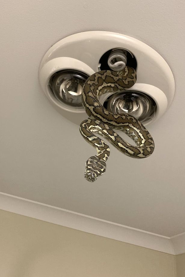 Hoang hot phat hien tran ‘khung’ treo lo lung tren tran nha tam