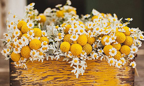 Tu vi thu hai ngay 7/1/2019 cua 12 cung hoang dao