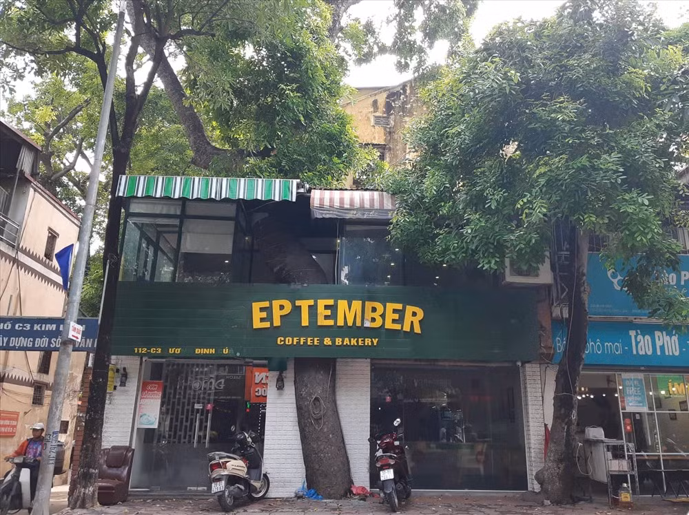 Khoảng năm 2018, thành phố Hà Nội đã có quy hoạch cải tạo khu tập thể này trở thành các nhà cao tầng hiện đại. Tuy nhiên, việc cải tạo vẫn phải lưu giữ được kiến trúc, cây xanh đặc trưng một thời.