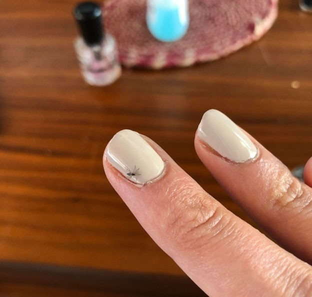 Chuyện kinh dị ngắn: Một con bọ bỗng dưng sa vào chiếc móng tay đang chờ khô của tôi.