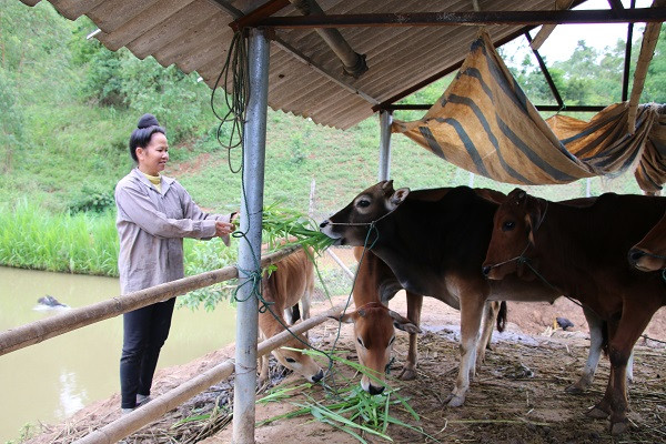 Cap vo chong tung buon 