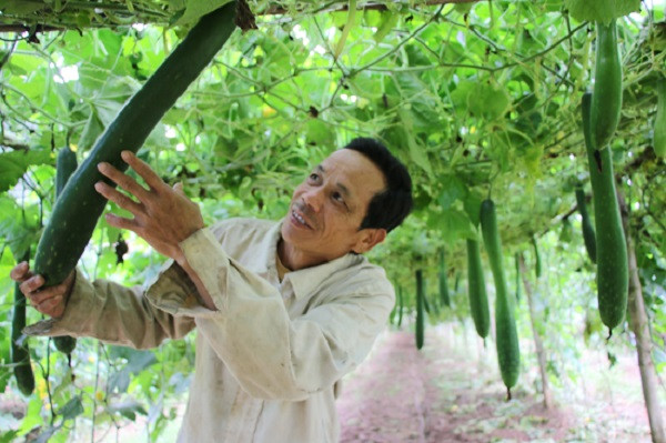 Cap vo chong tung buon 