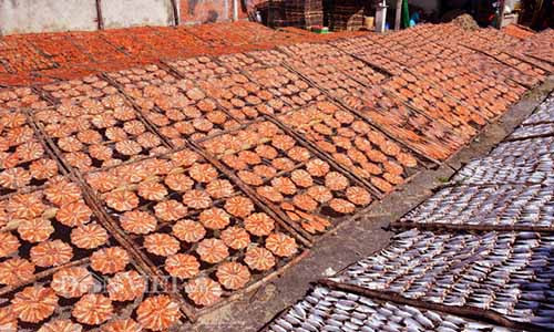 Ruc ro nhung me ca kho duoi nang nhung ngay can Tet