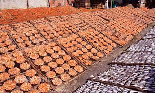 Ruc ro nhung me ca kho duoi nang nhung ngay can Tet