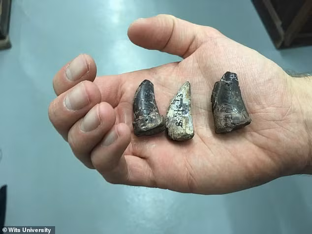 Kinh di ca sau quai vat chuyen an thit khung long 210 trieu nam tuoi-Hinh-2