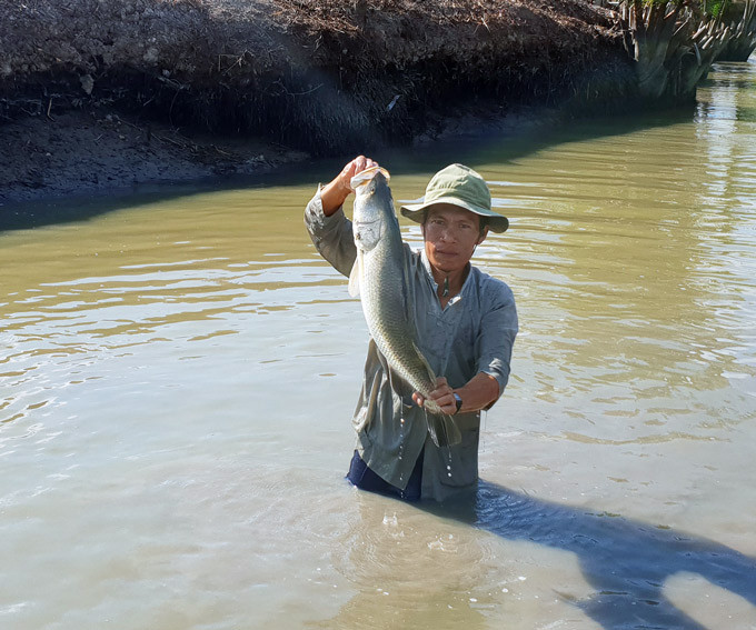 Chua tung thay o Ca Mau: Bat hang chuc con ca chem sieu 