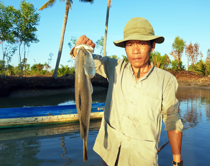 Chua tung thay o Ca Mau: Bat hang chuc con ca chem sieu 