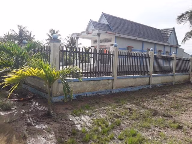 Nuoi loai cua to bu, sau 5 nam, trai ngheo thanh ty phu-Hinh-3