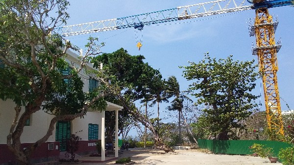 Hoang tan chon an choi mot thoi cua vua Bao Dai-Hinh-2