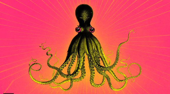 Ly do bach tuoc duoc cong nhan la sinh vat quai di nhat hanh tinh-Hinh-2