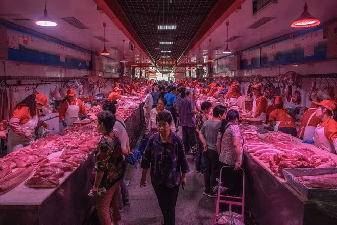 Trung Quốc đã xuất 30.000 tấn thịt lợn từ kho dự trữ trong tháng 9.