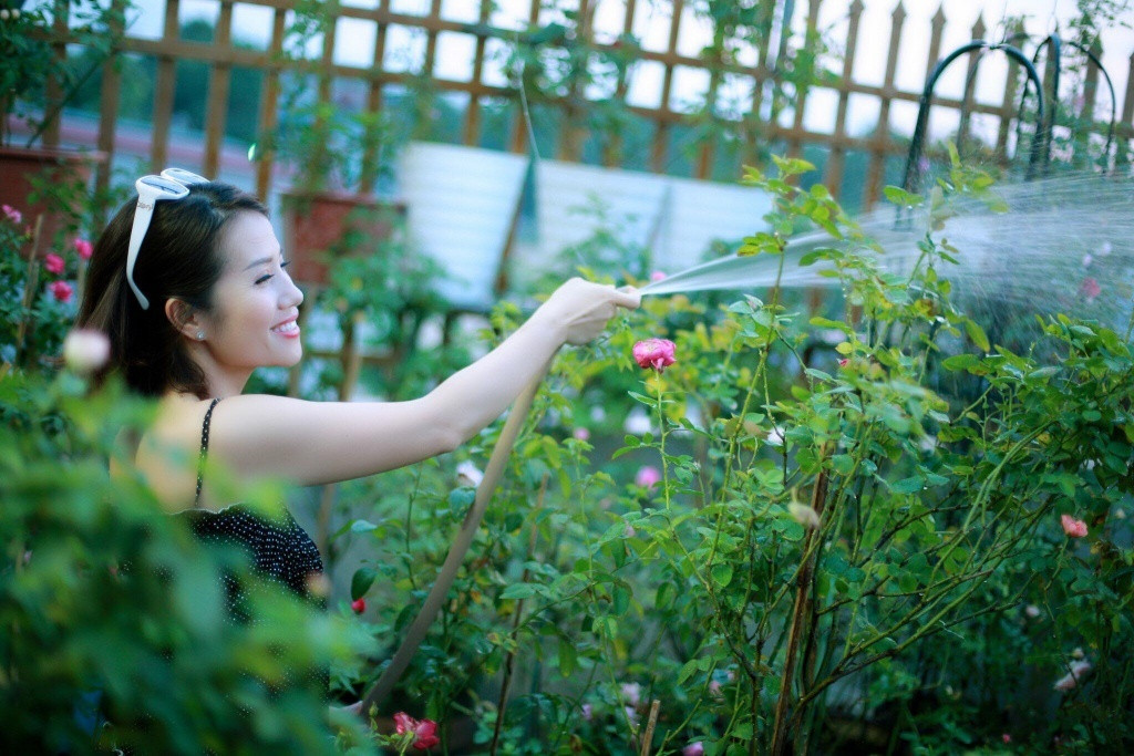 Ngoài chăm sóc 3 con nhỏ, chị luôn dành thời gian cho niềm đam mê cây và hoa của mình.