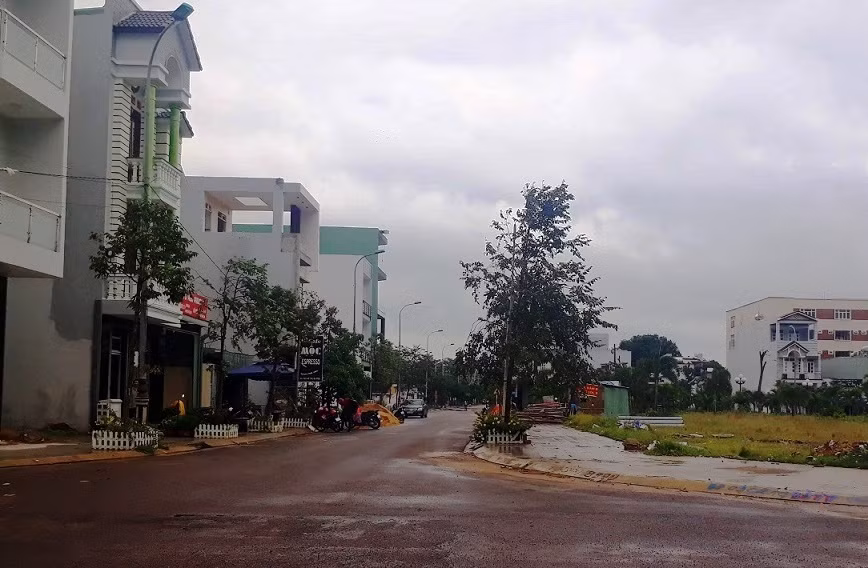 Choang ngop gia san kech xu cua cha con ong Tran Bac Ha-Hinh-3