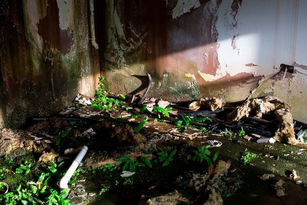 Canh kho tin den lanh nguoi trong pho biet thu hang tram trieu USD-Hinh-7