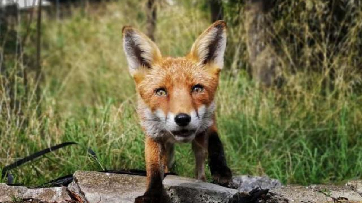 Bi phat hien quay len, chu cao hanh dong khien nguoi quay toat mo hoi