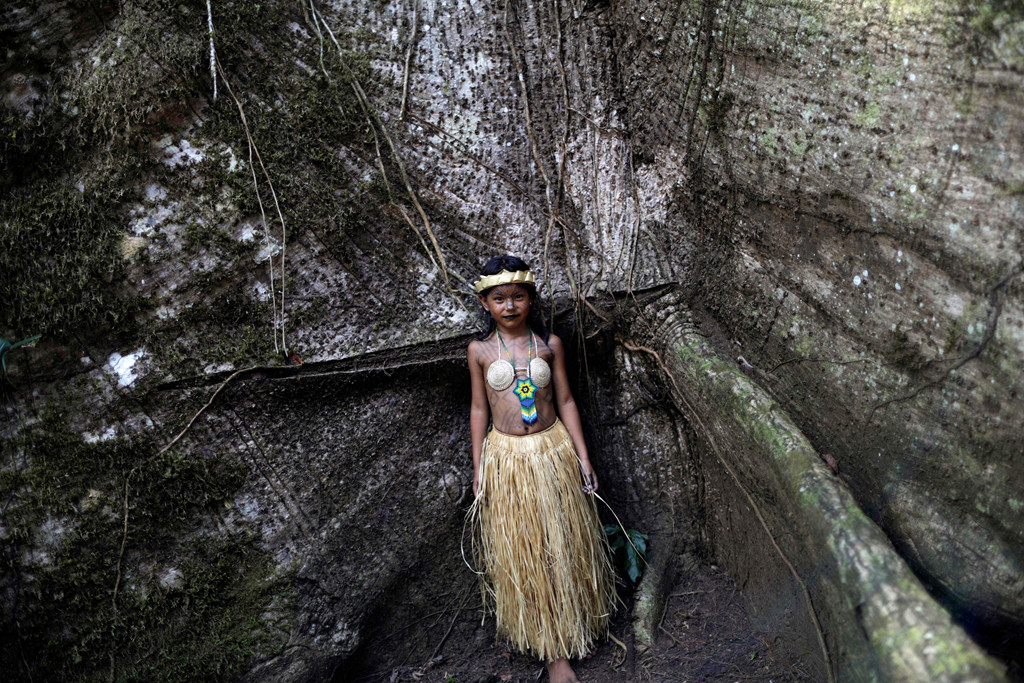 Bé gái người bản địa thuộc bộ lạc Shanenawa đứng gần cây cổ thụ Sumauma trong lễ hội ở làng Morada Nova của người bản xứ, gần Feijo. Sumauma được các bộ lạc bản địa ở vùng Amazon coi là "cây mẹ của rừng xanh", mang tính thiêng liêng, có chiều cao lên tới 40 m, theo công ty Sumauma Telecom của Brazil đã lấy tên loài cây này.