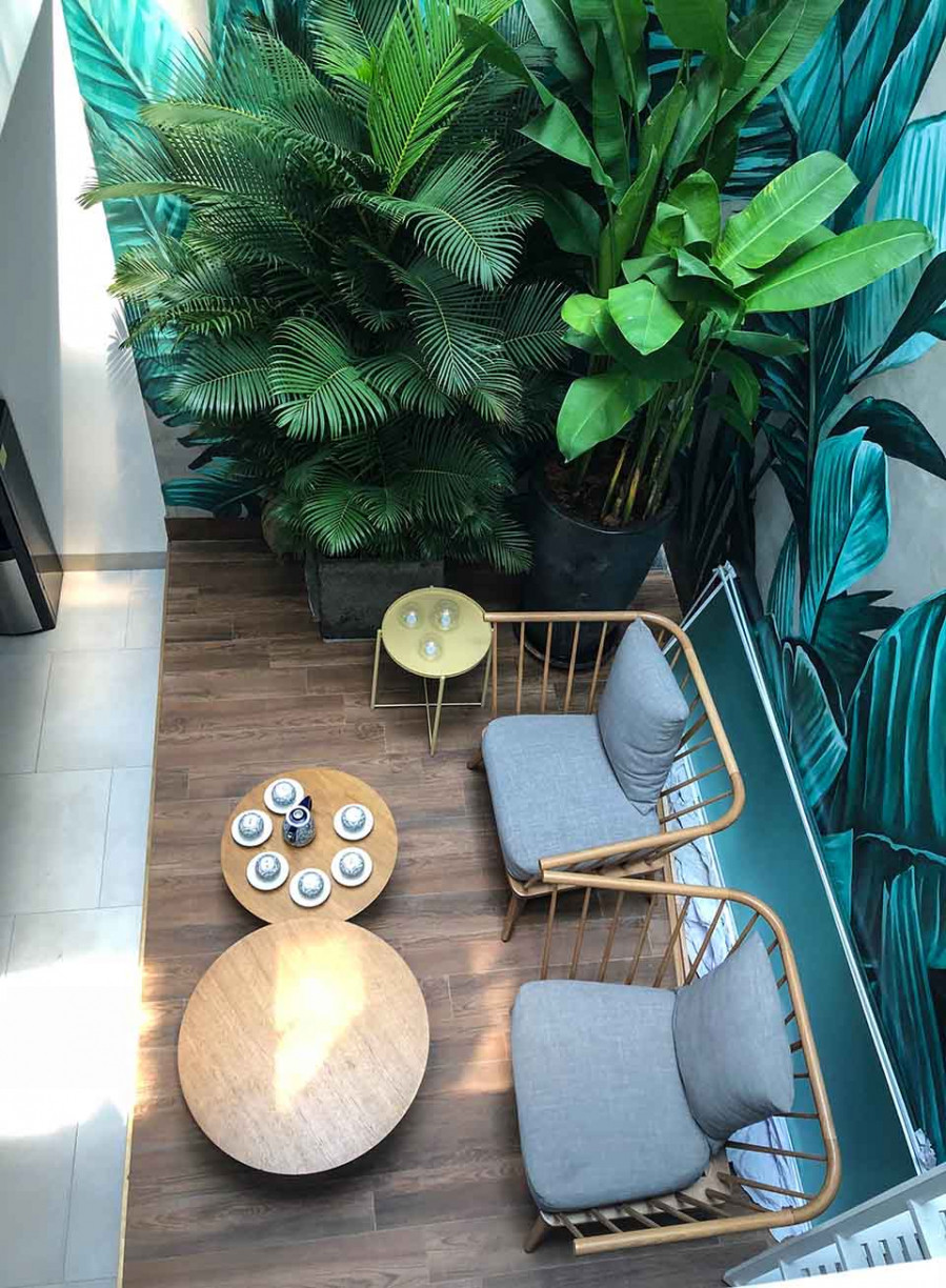 Từ tầng 2 nhìn xuống, không gian khá thoáng đãng. Khu vực thư giãn được nam ca sĩ trang trí cây xanh, tranh vẽ tường.