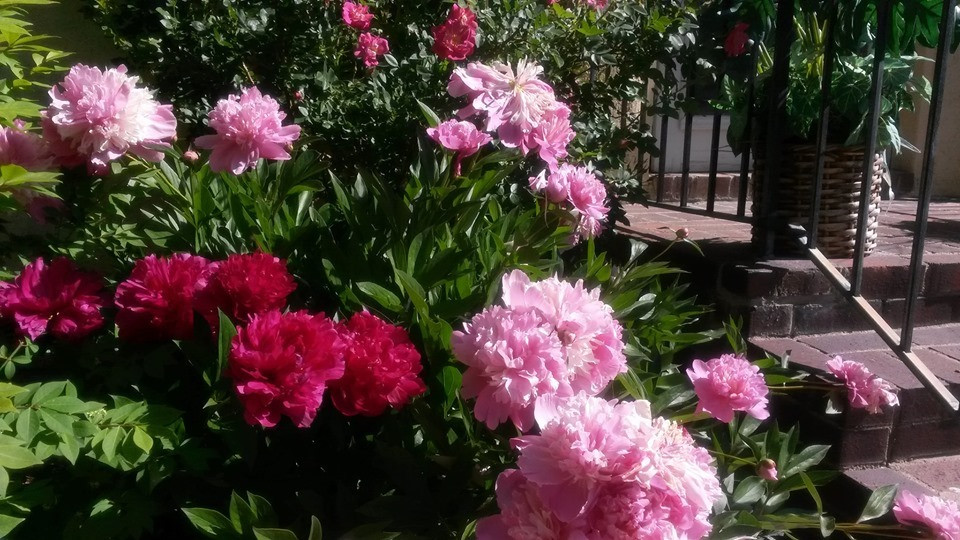 Tam su cua nguoi phu nu ngoai tinh, hanh phuc tan vo