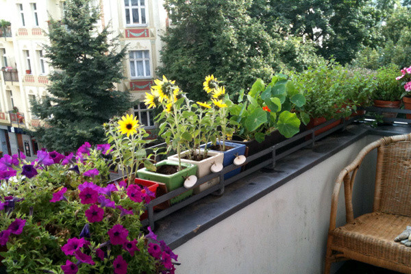 Sao xau chieu menh, chong 