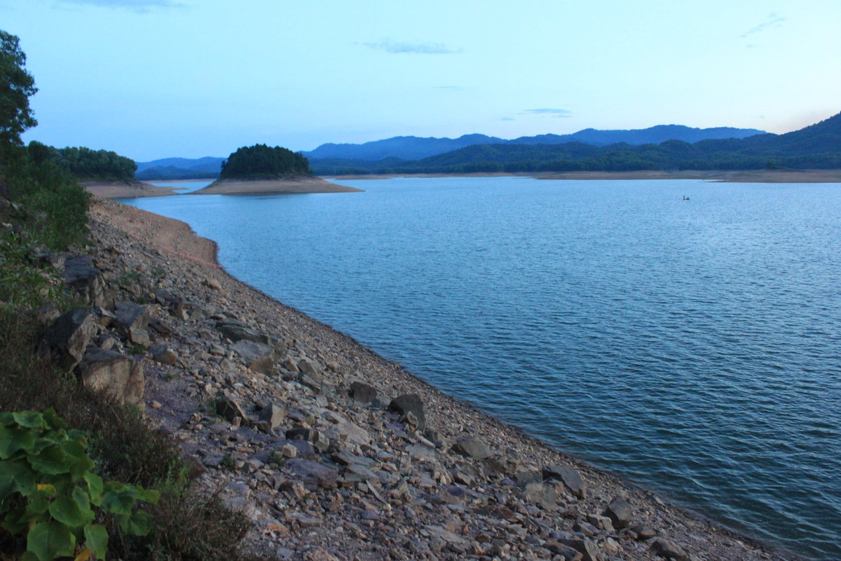 Vao rung cat la rong, mot nguoi dan ong thiet mang