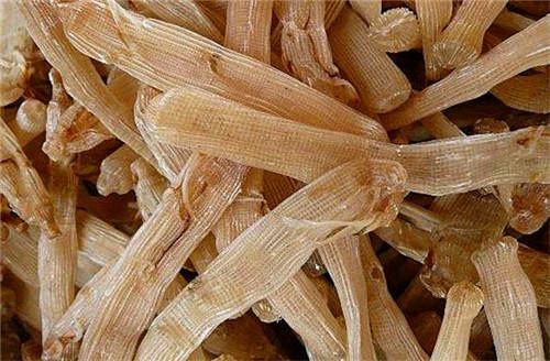 Sá sùng khô ở Trung Quốc có giá khoảng 860.000 đồng/nửa kg.