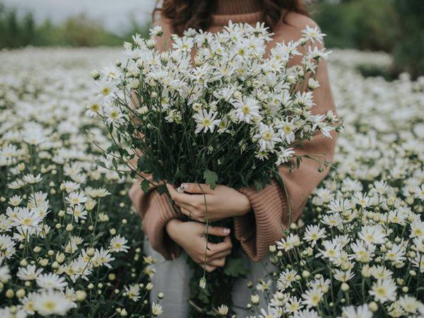 Bi quyet choi cuc hoa mi ca tuan khong thoi, khong hong, dep me li