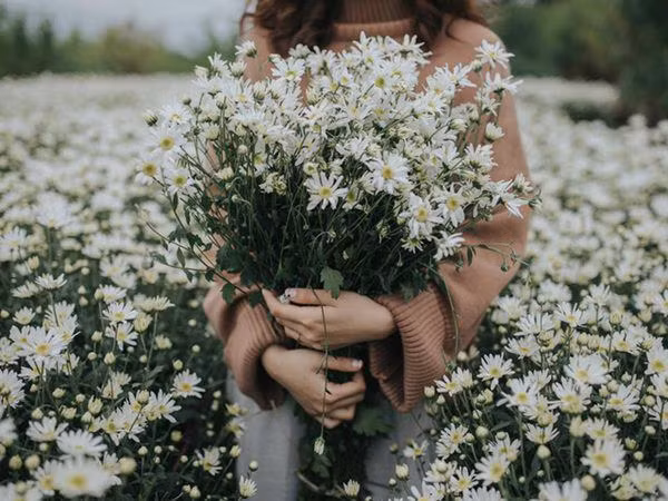 Bi quyet choi cuc hoa mi ca tuan khong thoi, khong hong, dep me li