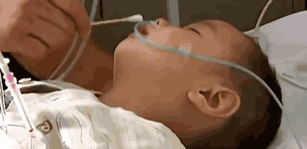 Cau be 2 tuoi phai song thuc vat vi sai lam cua nguoi lon