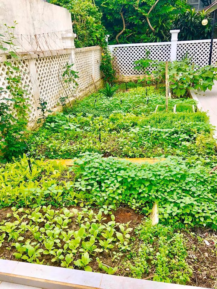 Ngôi nhà có tổng diện tích 300m2 và vợ chồng cô dành nhiều diện tích để làm vườn trồng đủ các loại rau. Thủy Tiên và Công Vinh đều thích ăn uống tại nhà, đặc biệt nữ ca sĩ còn mê nấu nướng nên họ chú trọng việc trồng rau ngay sân vườn nhà mình.