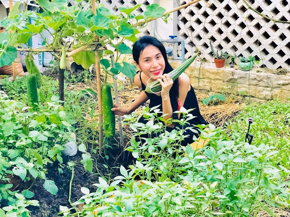 Trên trang cá nhân, Thủy Tiên thường xuyên chia sẻ những hình ảnh rau quả sạch được cả nhà ra thu hoạch.