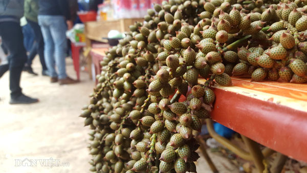 Các loại củ độc lạ trị các loại bệnh như ho, giải độc trong các bài thuốc của người dân tộc ở đây được bày bán thu hút sự tò mò của nhiều du khách. Hằng năm vào dịp lễ hội, người dân thường lên núi săn tìm những đặc sản, cây thuốc quý để mang xuống núi vừa là để được trẩy hội, vừa bán kiếm chút thu nhập sau Tết.