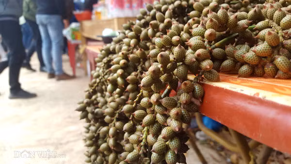 Các loại củ độc lạ trị các loại bệnh như ho, giải độc trong các bài thuốc của người dân tộc ở đây được bày bán thu hút sự tò mò của nhiều du khách. Hằng năm vào dịp lễ hội, người dân thường lên núi săn tìm những đặc sản, cây thuốc quý để mang xuống núi vừa là để được trẩy hội, vừa bán kiếm chút thu nhập sau Tết.