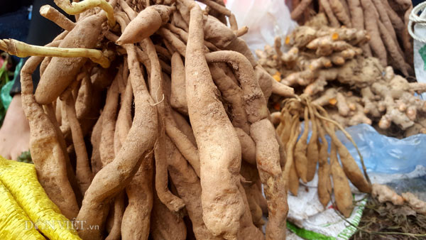 Quả dứa rừng được người Dao lên rừng săn tìm cũng được mang xuống núi bày bán. Những tác dụng không phải bàn cãi của dứa dại hay còn gọi là dứa rừng đã được sách vở ghi chép lại và thường xuyên được sử dụng làm thuốc trong đông y: Chữa bệnh kiết lỵ, viêm gan siêu vi. Quả dứa có vị chua ngọt, tính bình, có tác dụng giải khát, sinh tân, giúp tiêu hoá. Nước quả dứa nhuận tràng, tiêu tích trệ. Quả dứa chín giúp sự sinh trưởng, dưỡng sức.