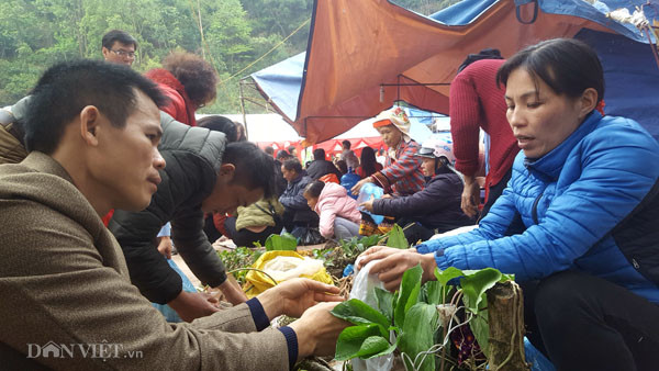 Lễ hội chùa Bắc Nga diễn ra vào 15 tháng Giêng âm lịch hằng năm thu hút hàng nghìn du khách và người dân hành hương vui xuân trẩy hội. Lễ hội này còn được người dân gọi với cái tên lễ hội lợn quay bởi tại đây bày bán hàng trăm con lợn quay vàng ruộm - đặc sản xứ Lạng. Ngoài đặc trưng là bày bán đặc sản lợn quay, tại lễ hội cũng la liệt các loại cây thuốc được người Dao Mẫu Sơn săn từ trên núi mang xuống hội bày bán.