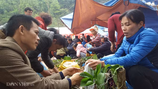 Lễ hội chùa Bắc Nga diễn ra vào 15 tháng Giêng âm lịch hằng năm thu hút hàng nghìn du khách và người dân hành hương vui xuân trẩy hội. Lễ hội này còn được người dân gọi với cái tên lễ hội lợn quay bởi tại đây bày bán hàng trăm con lợn quay vàng ruộm - đặc sản xứ Lạng. Ngoài đặc trưng là bày bán đặc sản lợn quay, tại lễ hội cũng la liệt các loại cây thuốc được người Dao Mẫu Sơn săn từ trên núi mang xuống hội bày bán.