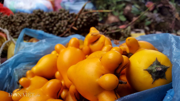 La liet 'than duoc' tren nui cao duoc nguoi Dao Mau Son mang bay ban