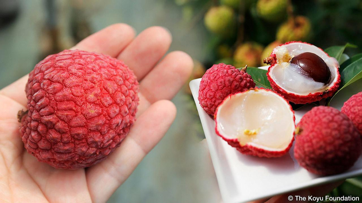 Diem dac biet cua vai thieu Nhat Ban 240.000 d/qua