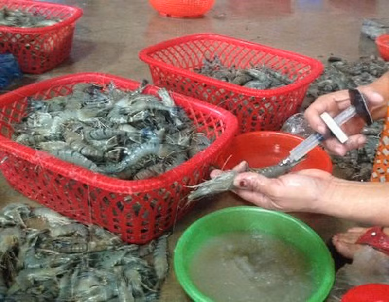 Cach don gian nhan biet tom bom tap chat thach rau cau