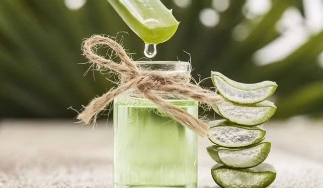 Ảnh minh họa. Ảnh minh họa.