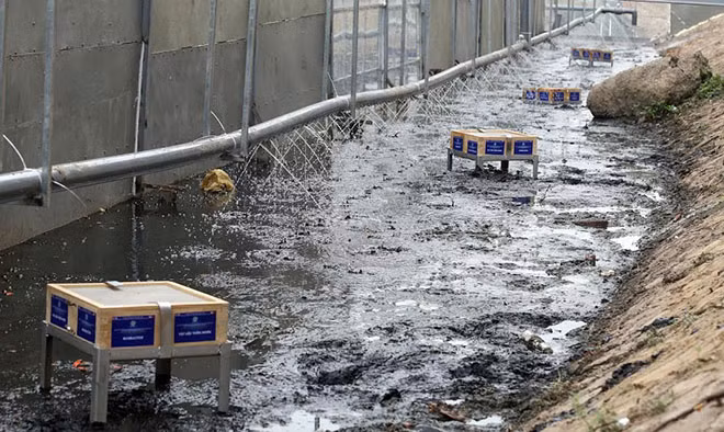 “Bao boi” cua Nhat Ban xu ly bun sieu nhanh, hoi sinh song To Lich-Hinh-2