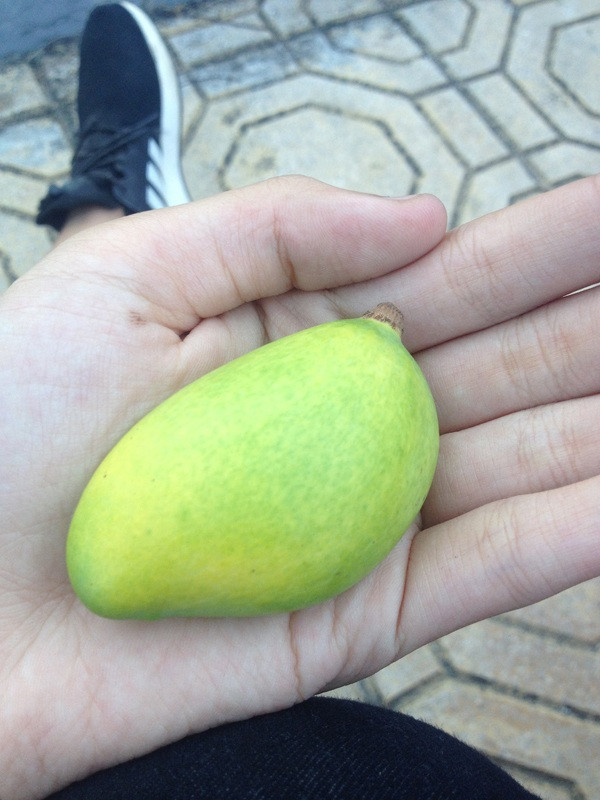 Si tu di thi THPT Quoc gia 'ran ran' khoe vat bat ly than de cau may-Hinh-3