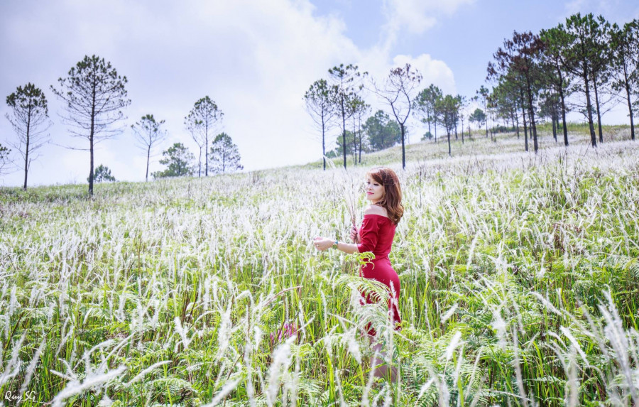 Tu vi thu nam ngay 21/2/2019 cua 12 cung hoang dao