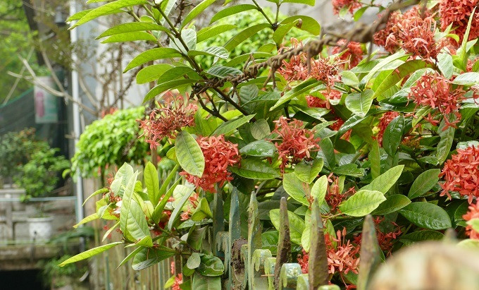 8 dieu cac ba vo phai lam neu van con yeu nguoi chong phan boi