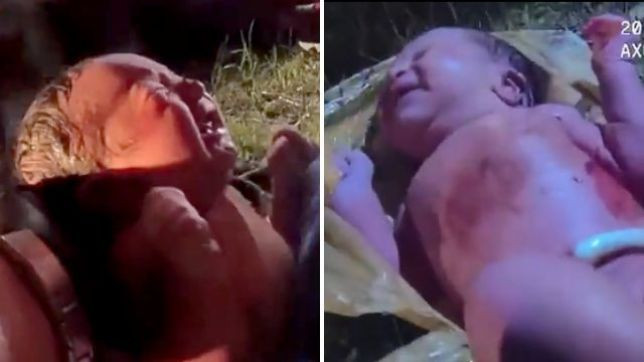 Xuc dong canh giai cuu be so sinh tu tui rac vut trong rung-Hinh-2